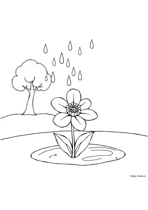 Colouring Pages Of Rain