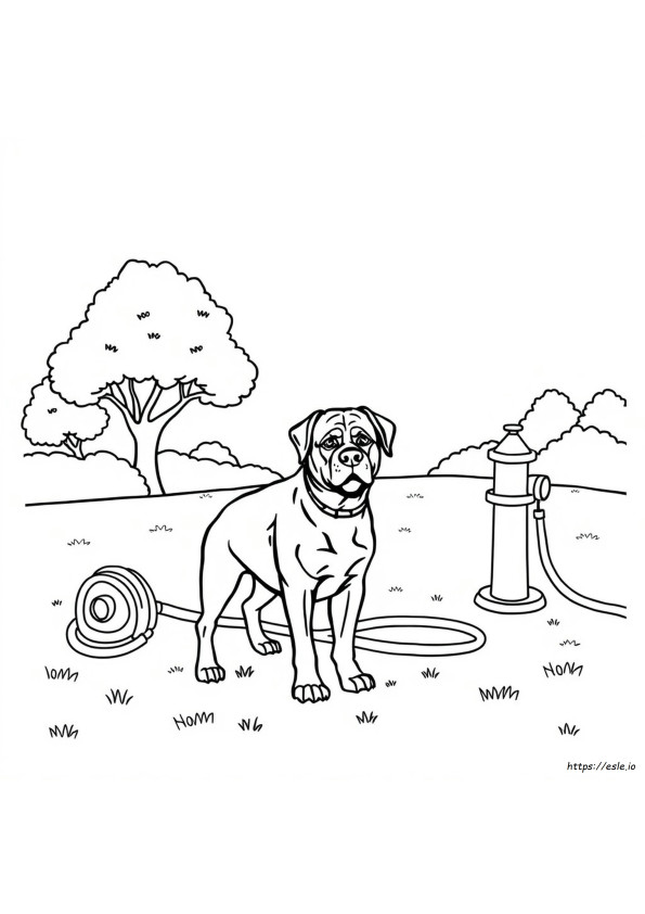 Dogs With Rottweiler Coloring