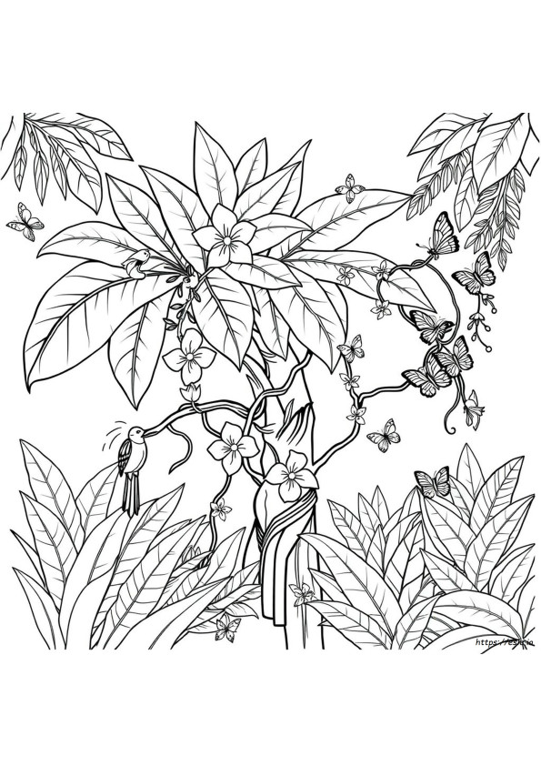Mudah Hutan Hujan Gambar Mewarnai