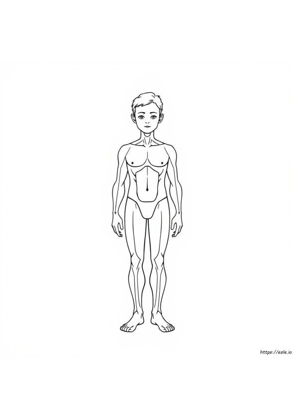 Human Body Colouring In