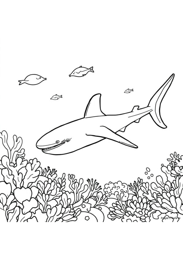 Tiburón Martillo Para Colorear