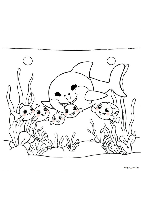 Babyshark Colouring