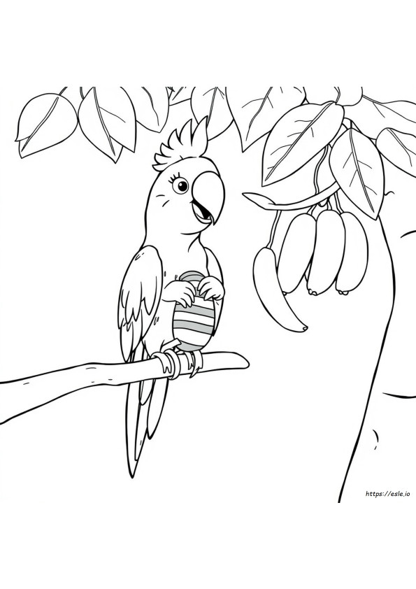 Coloriages Perroquet De Dessin Animé
