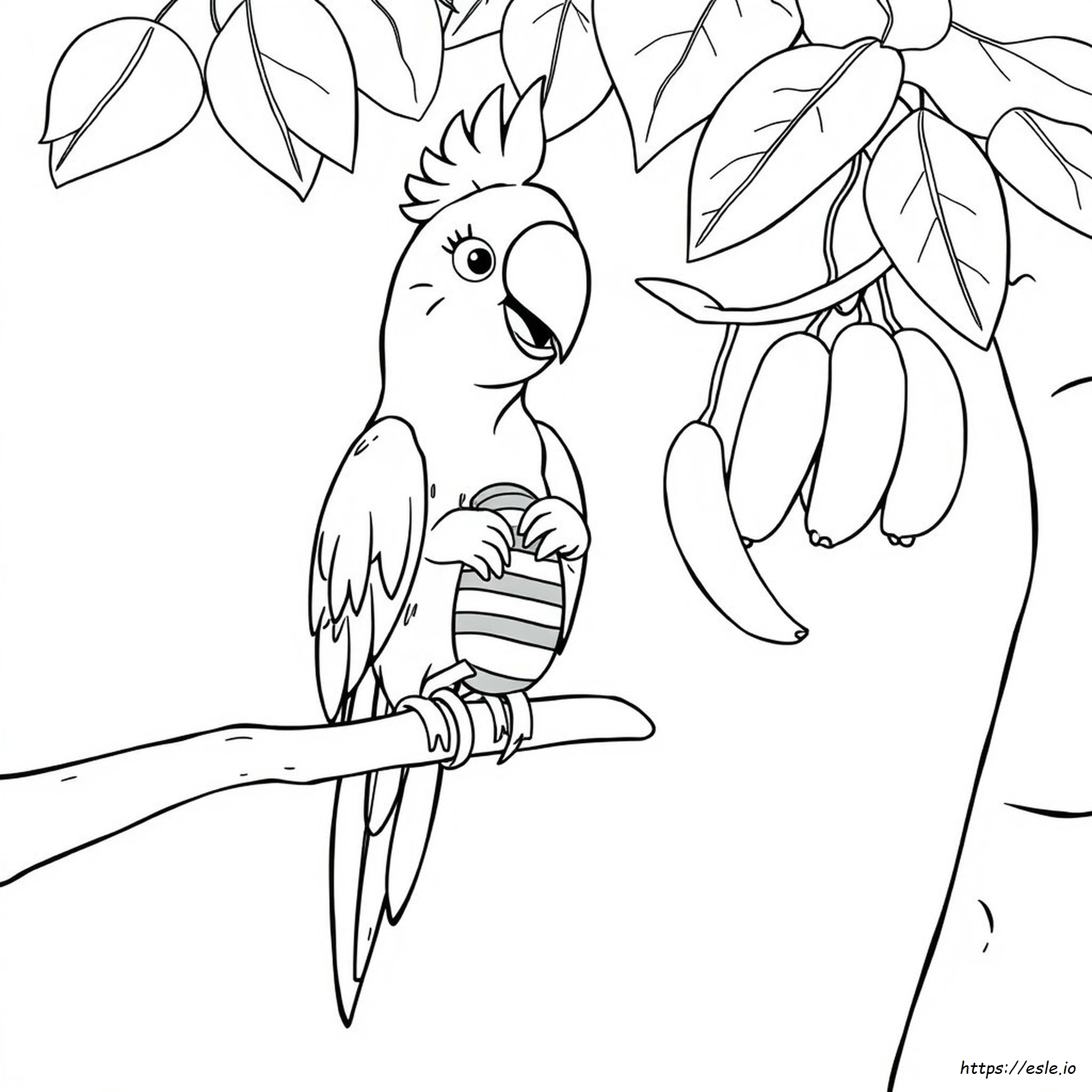 Cartoon Parrot Coloring Pages