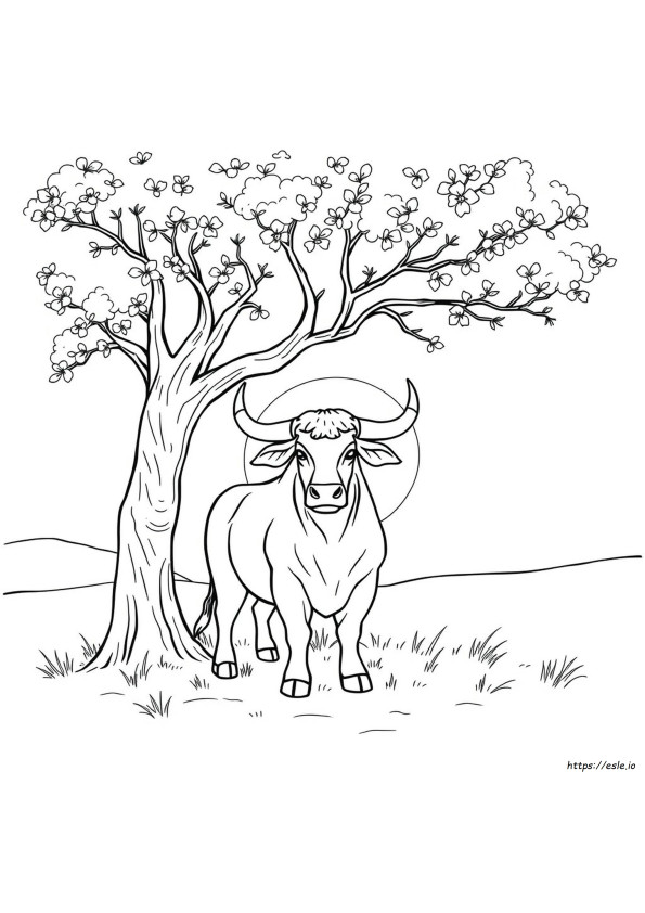 Stier Ausmalbild
