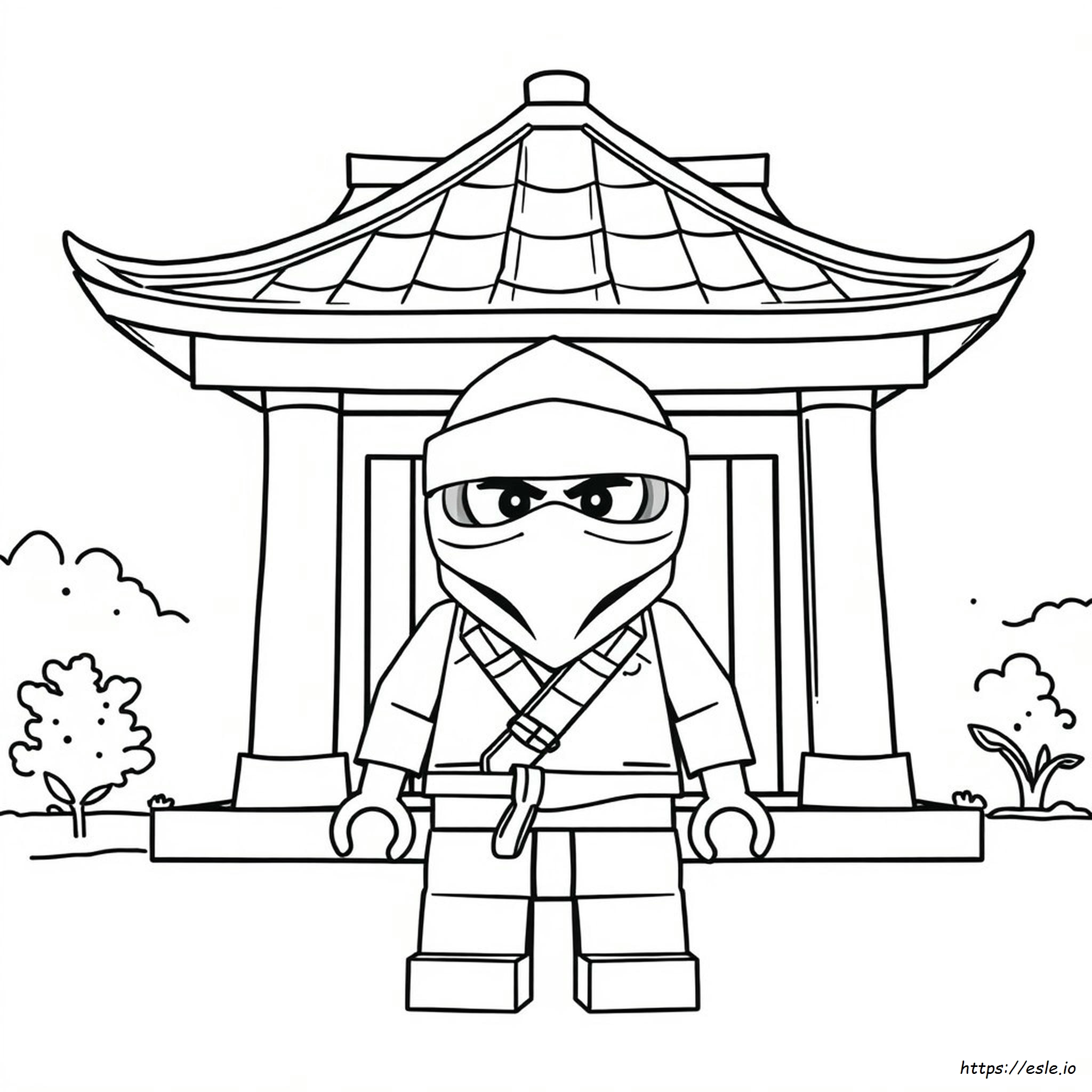Maschera Ninja Da Colorare