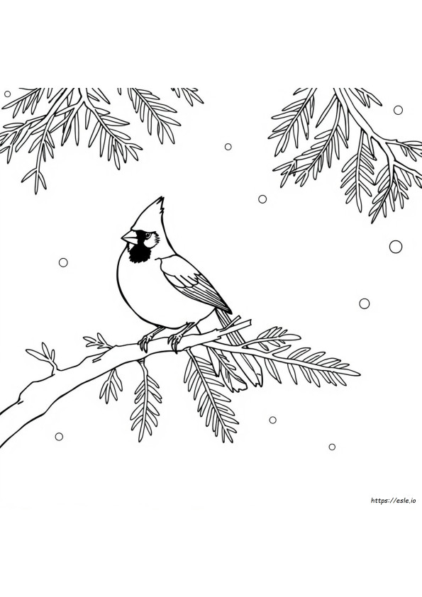 Cardinal Realistic Bird Coloring Pages
