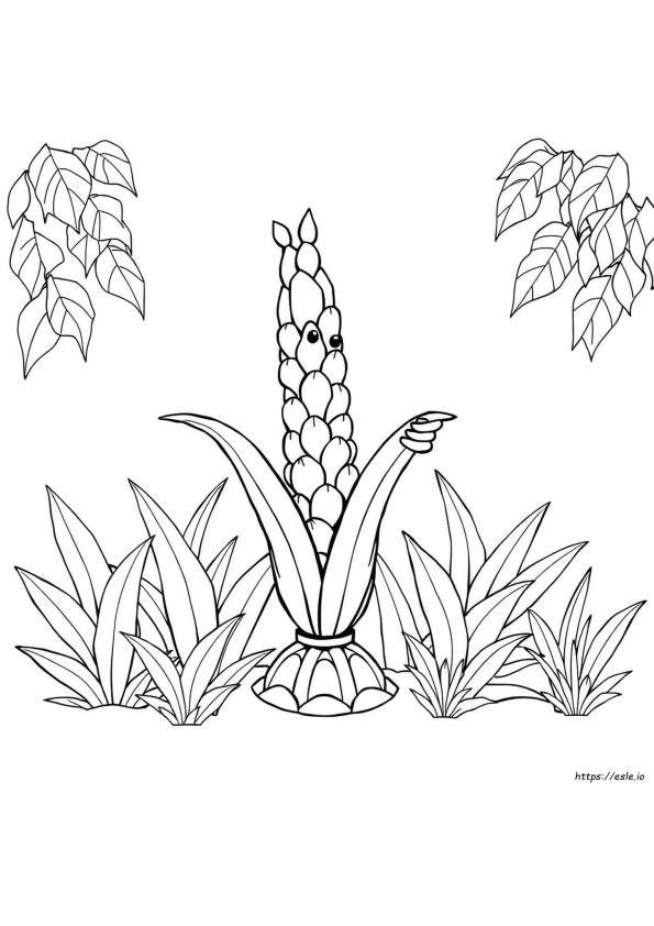 Lulav Coloring Page