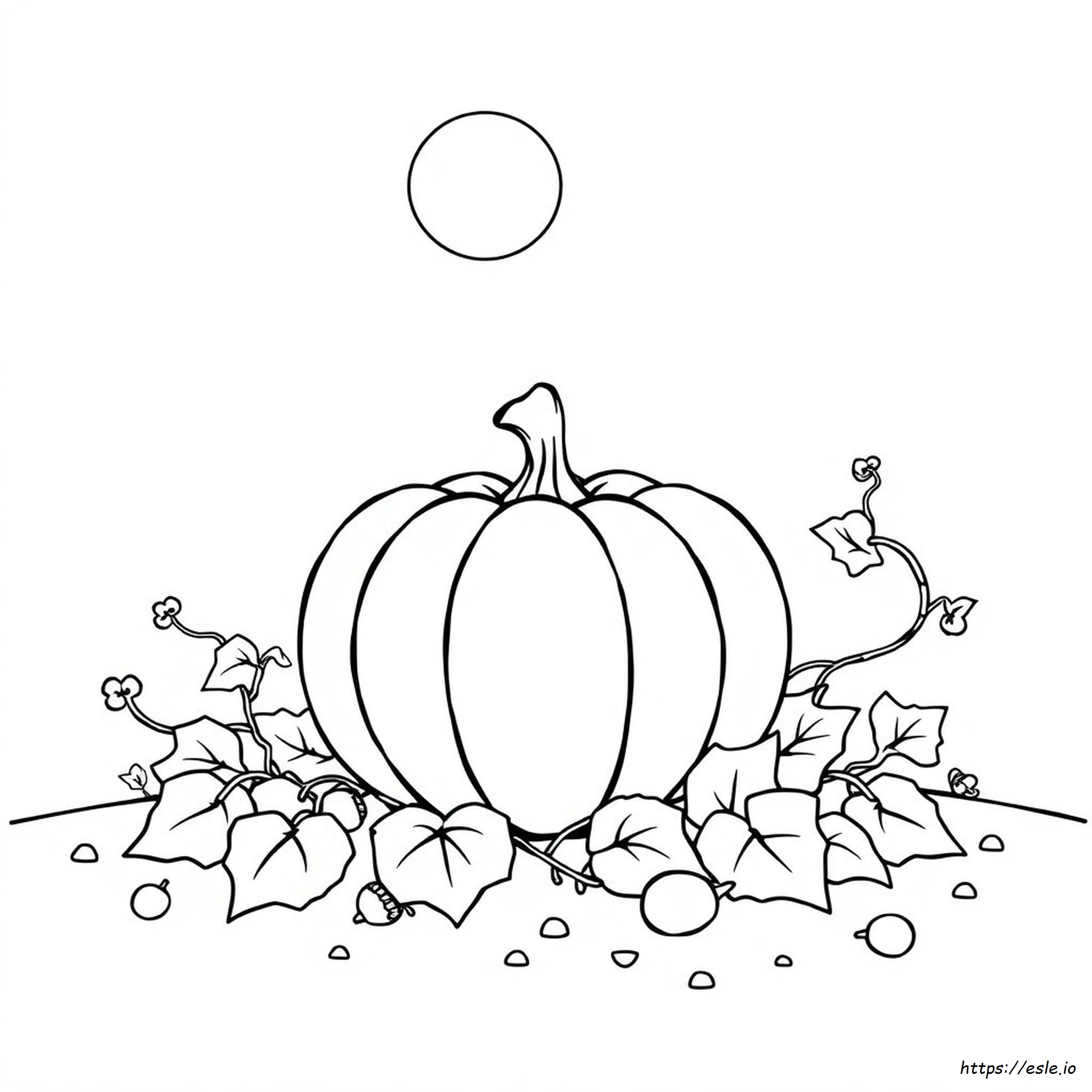 Disegni Di Zucche Da Colorare