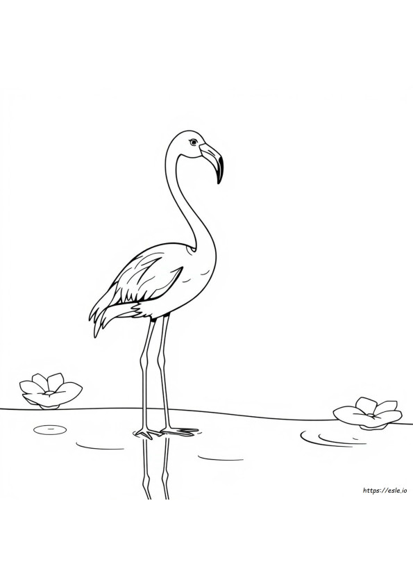 Flamingo Ausmalbilder Zum Ausdrucken