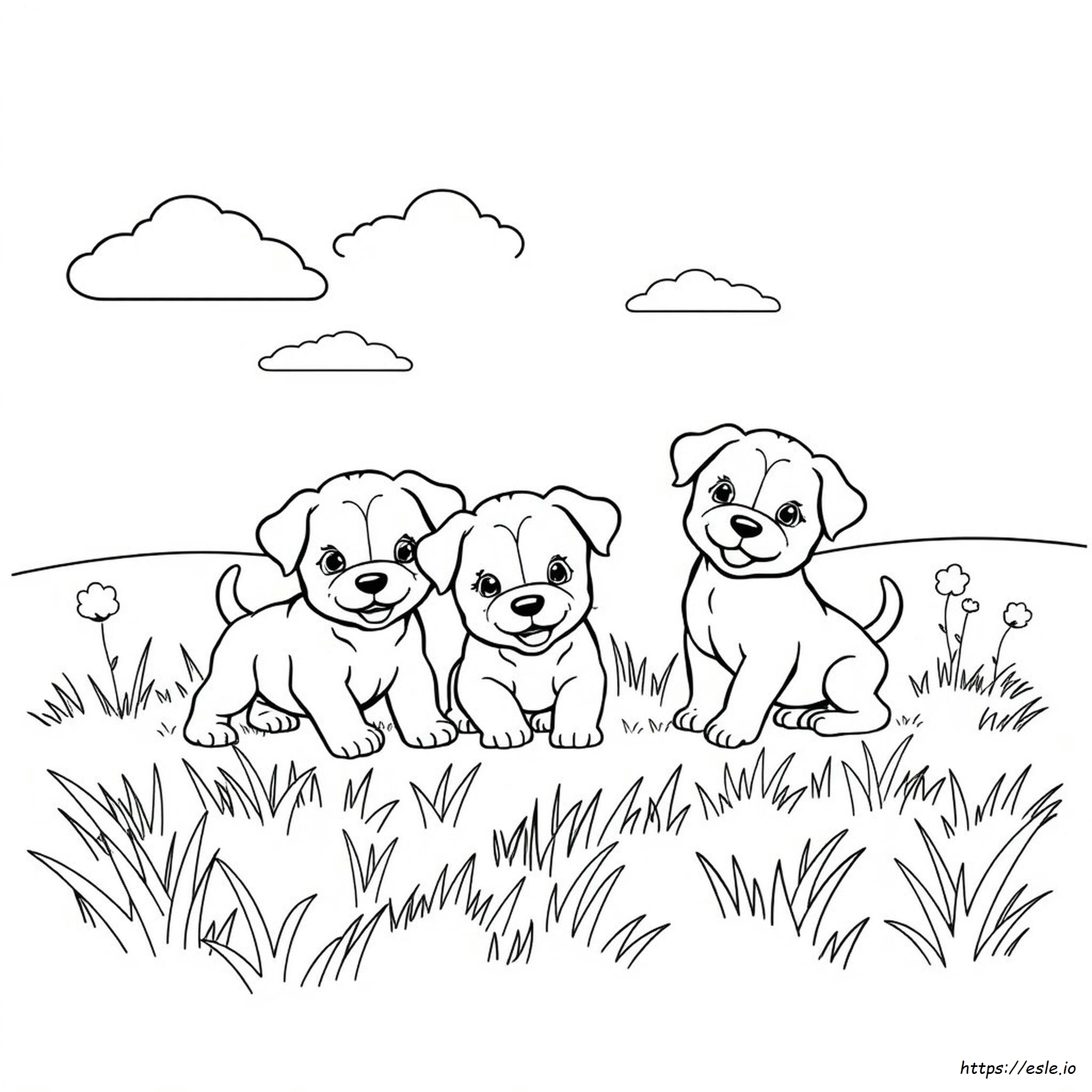 Dibujos De Cachorritos Para Colorear