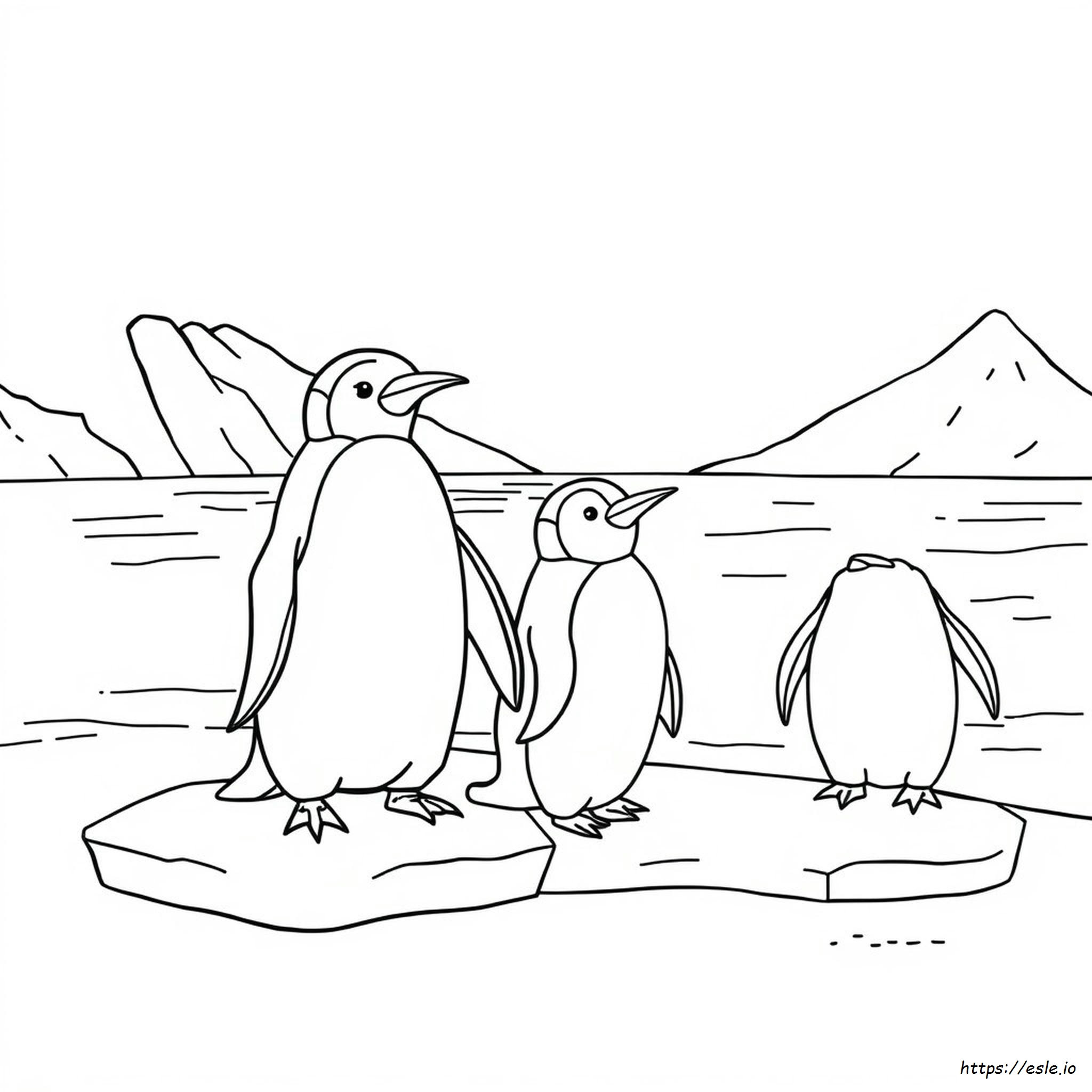 Penguen Boyama Sayfalar Penguen Boyama Sayfalar