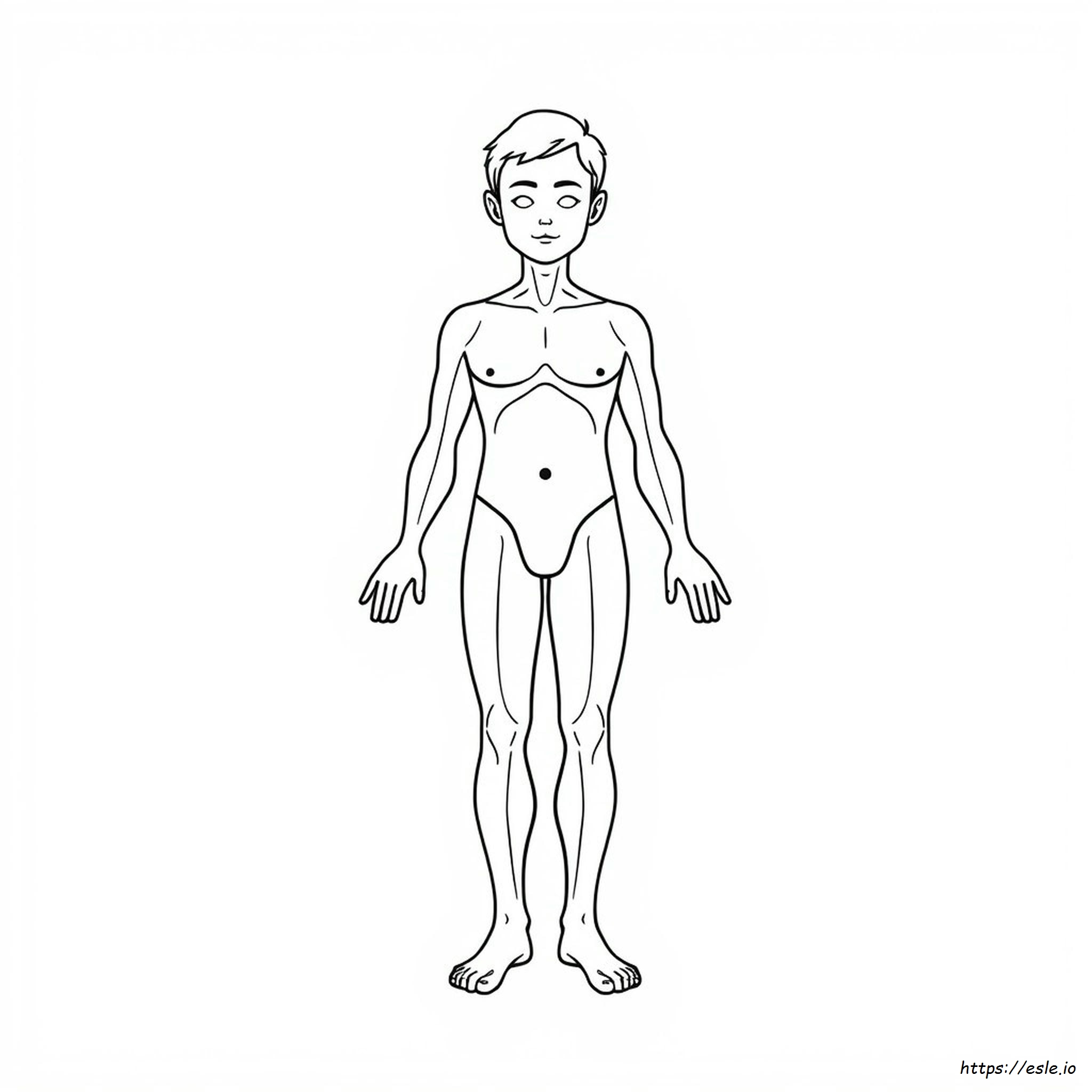 Coloriages Gratuits À Imprimer Sur Le Corps Humain