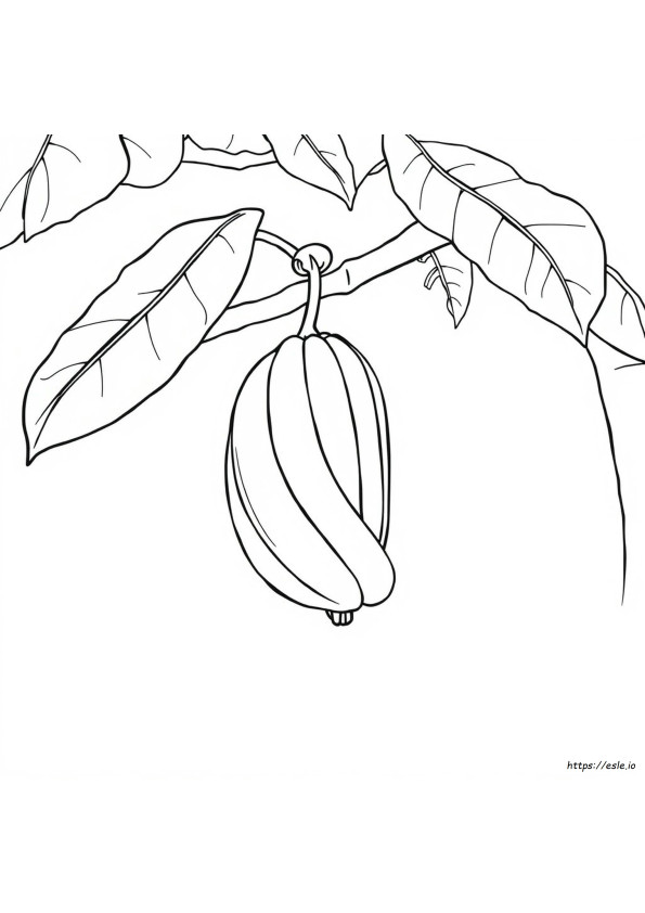 Banana Colouring Images