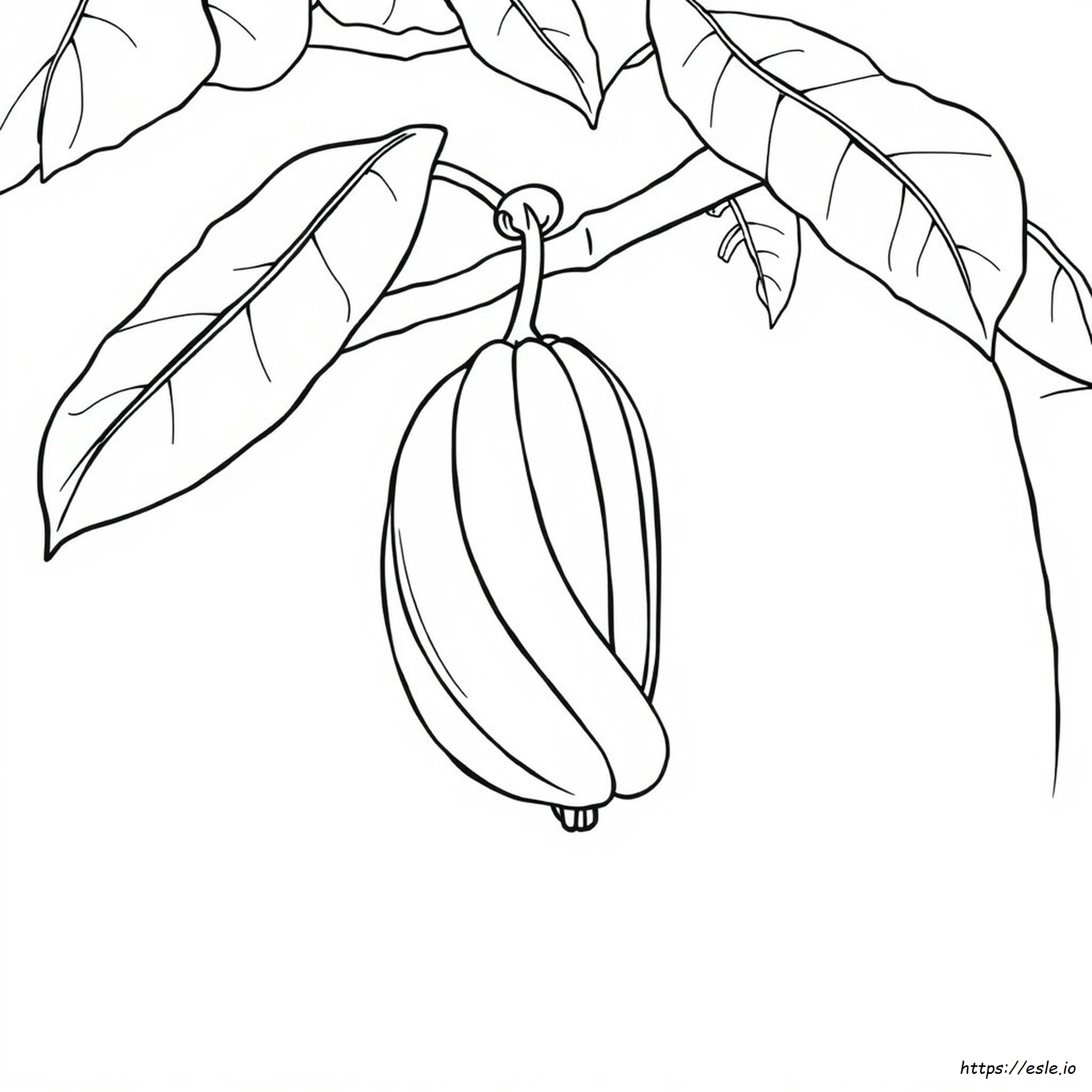 Banana Colouring Images