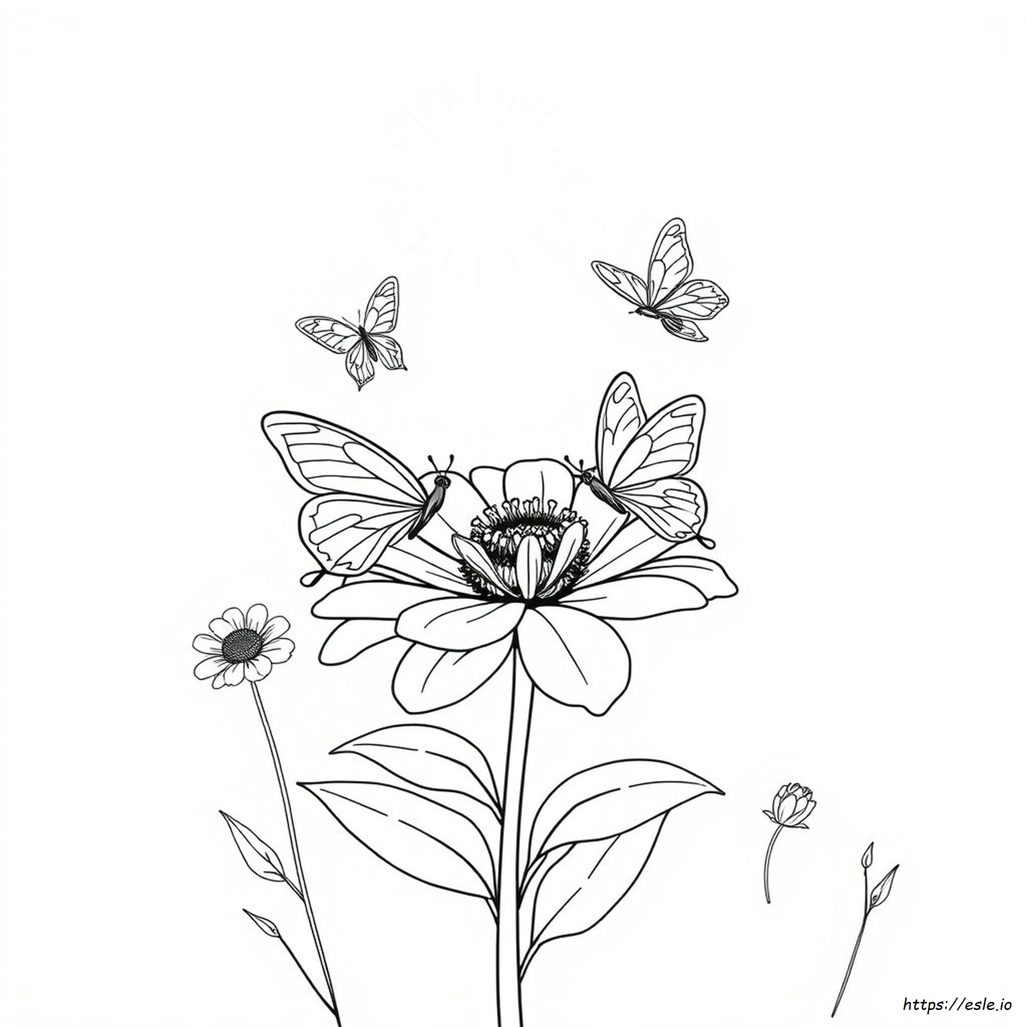 Kolorowanki Beautifly