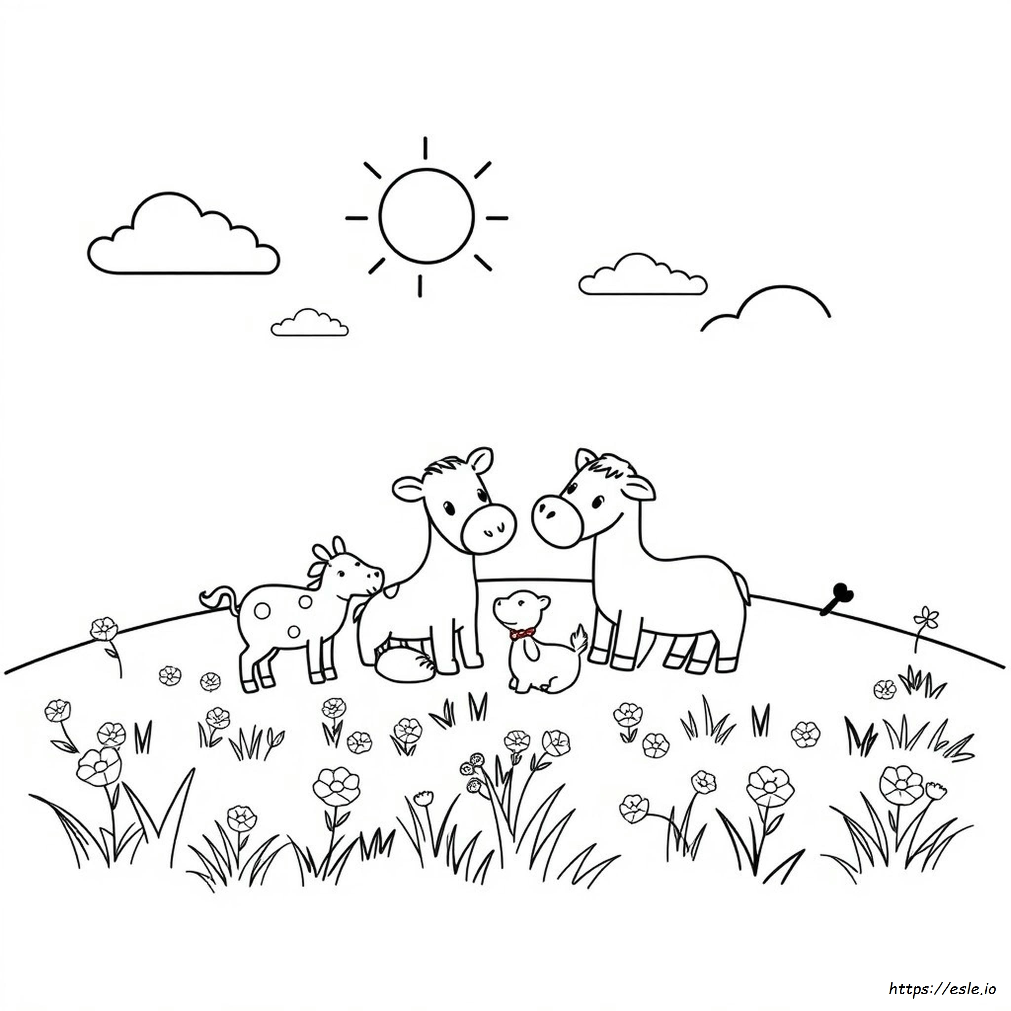 Animales Para Colorear Para Jardín De Infantes