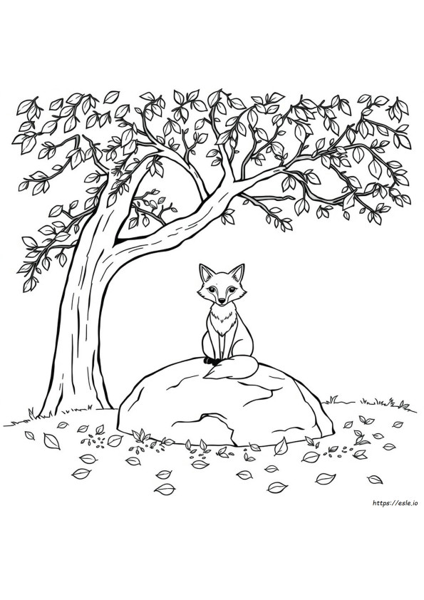 Fox Colouring Sheets