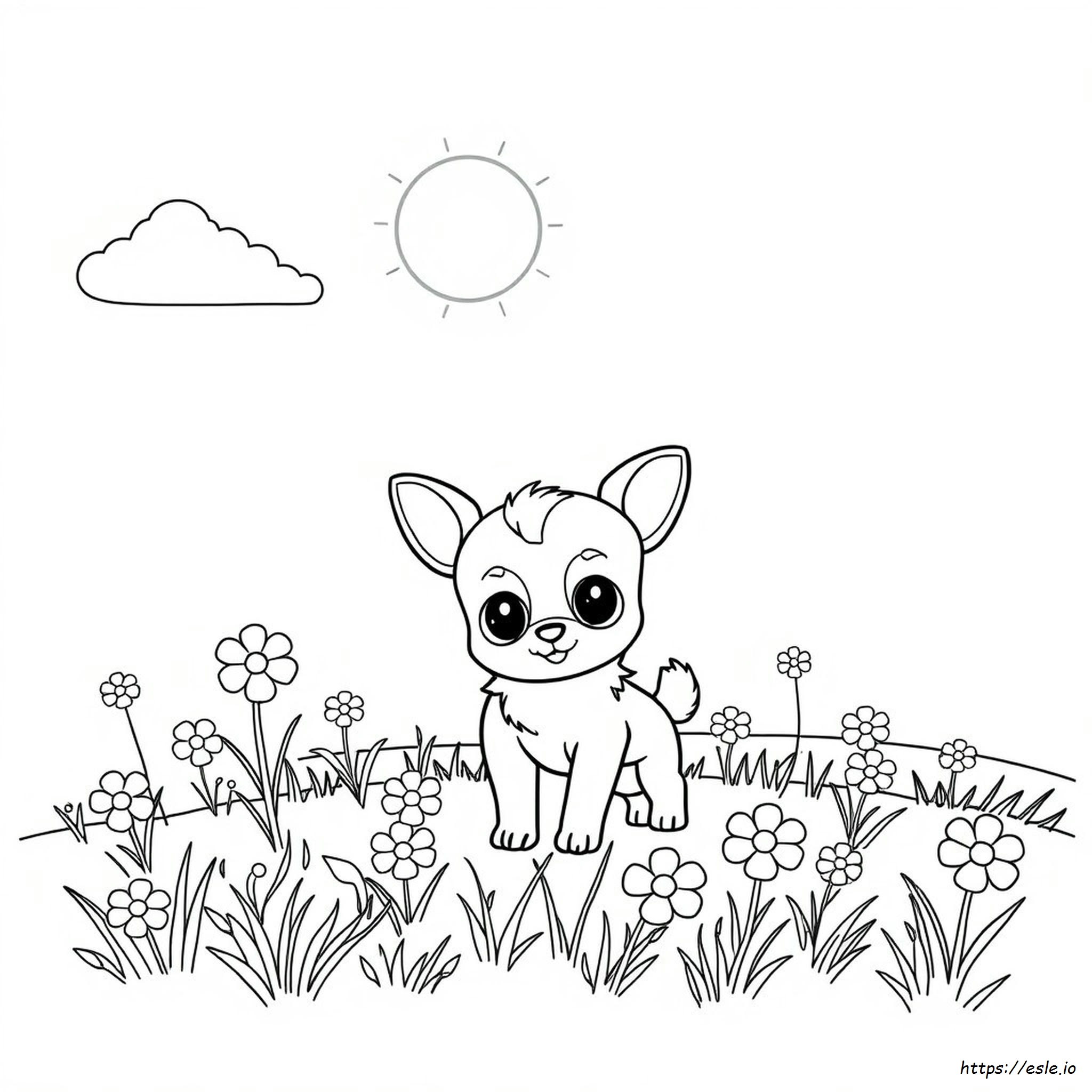 Coloriage Lillipup