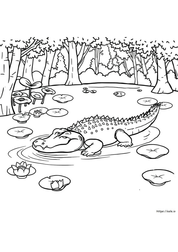 Coloriages De Crocodiles À Imprimer Gratuitement