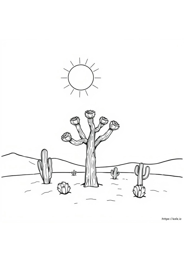 Joshua Tree Coloring Page