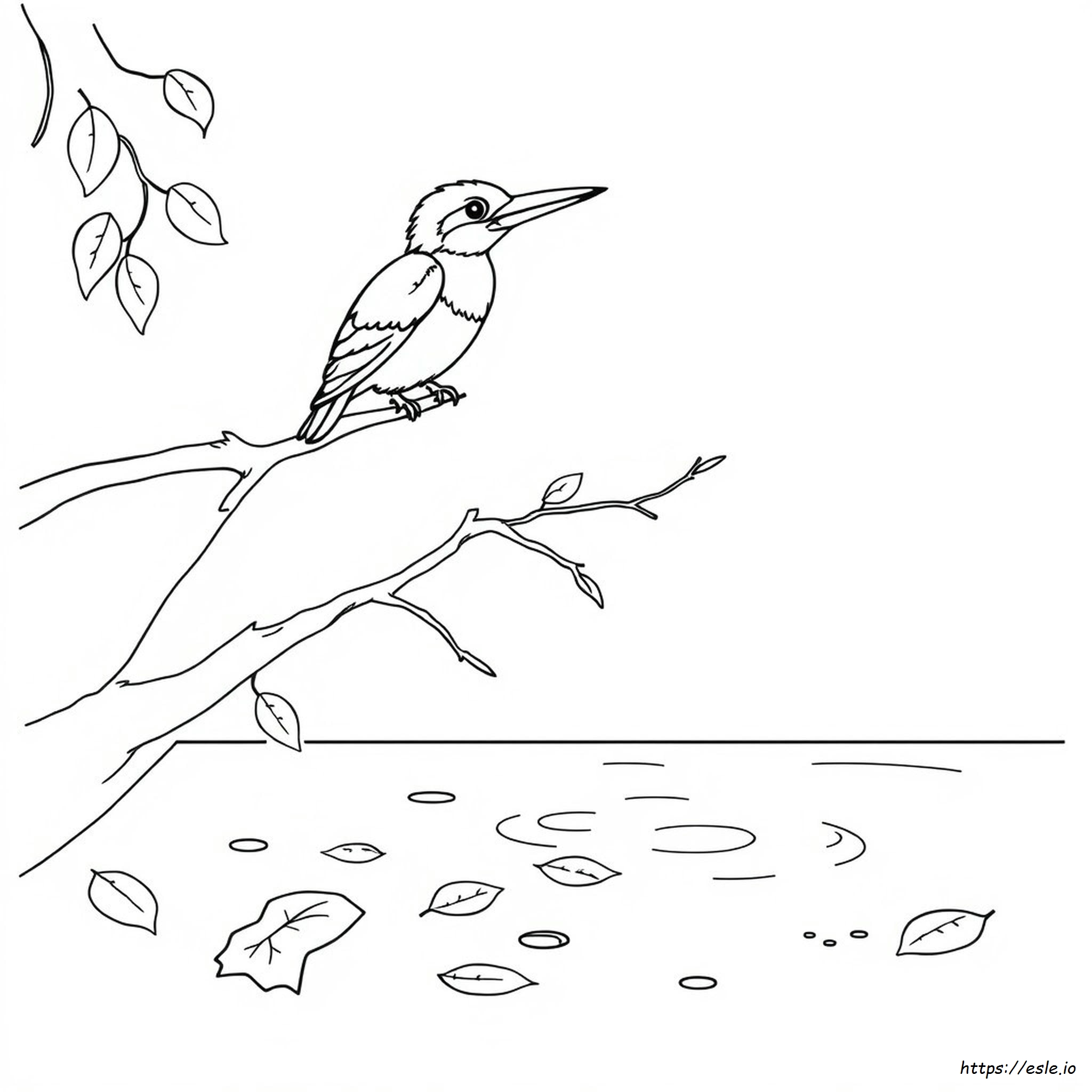 Coloriage Martin-Pêcheur