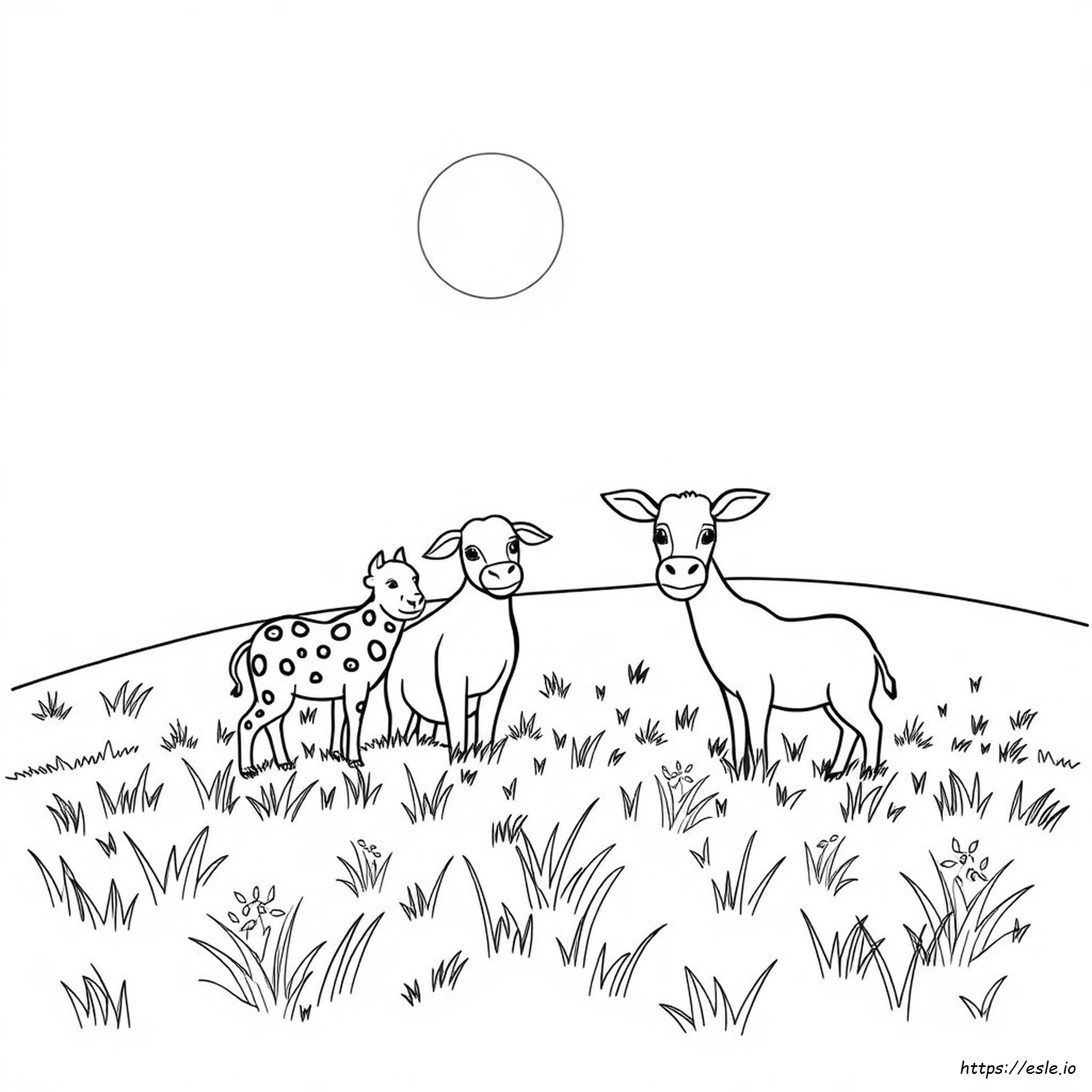 Tiere Ausmalbilder Zum Ausdrucken