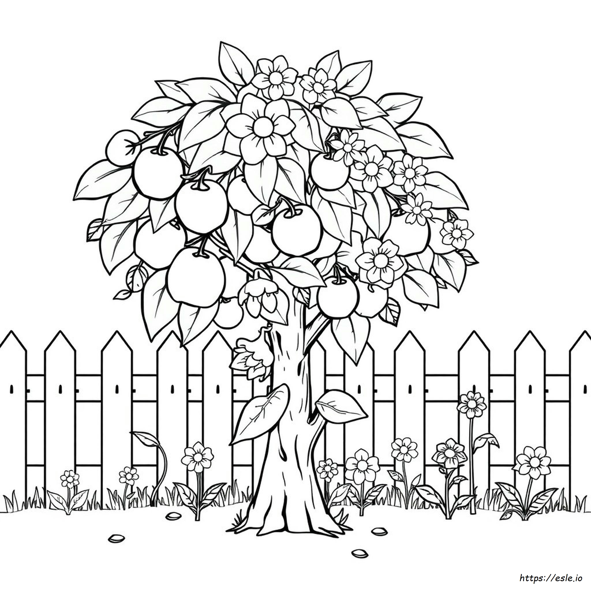 Kindergarten Fruit Coloring Pages