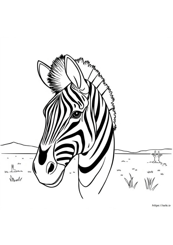 Zebra Kafası Boyama Sayfaları