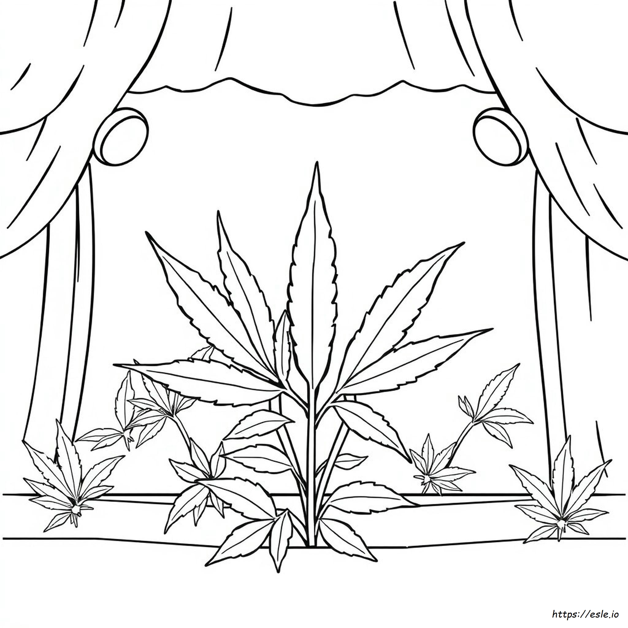 Coloriage Bob Marley