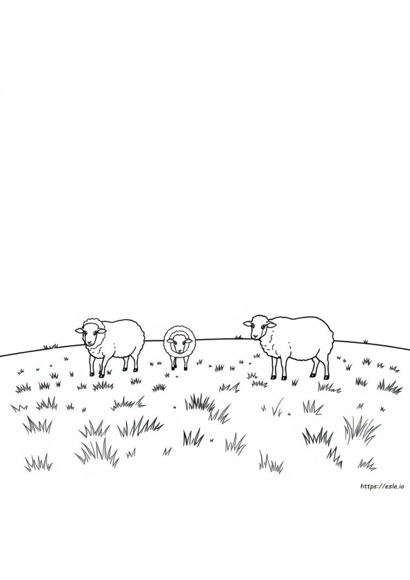 Coloriage Mouton