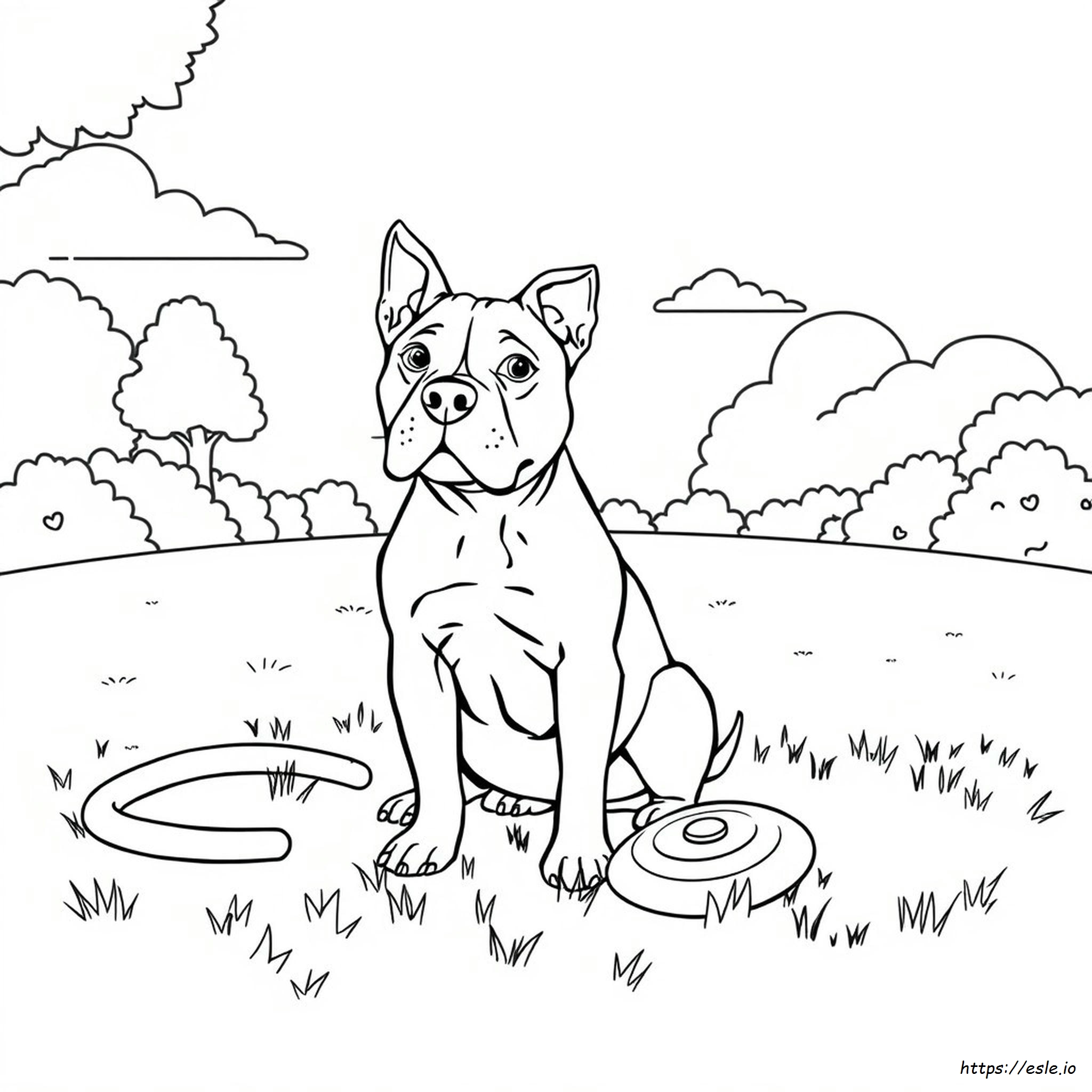 pitbull-coloring-book
