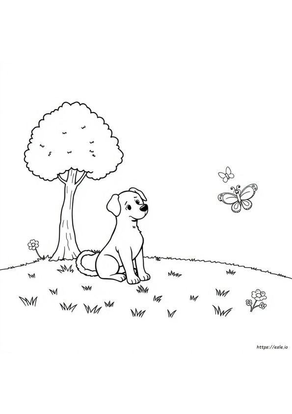 Coloring Of Dogs