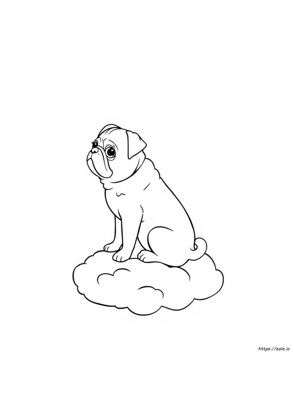 What Is The Rarest Pug Color