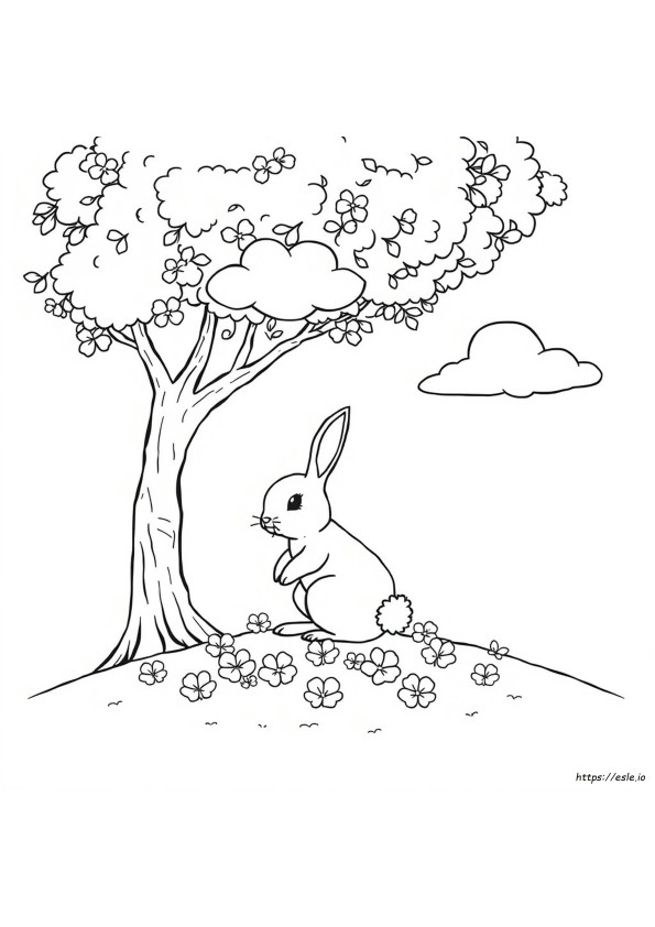 Coloriage Contour De Lapin