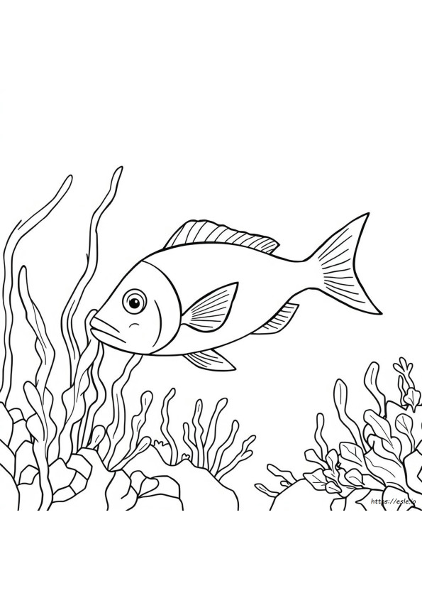 Fish Coloring Pages For Adults