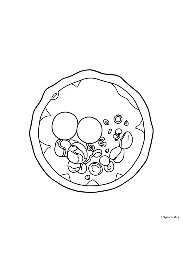 Animal Cell Coloring Page Key