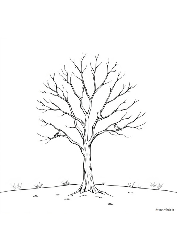 Tree In Winter Coloring Page