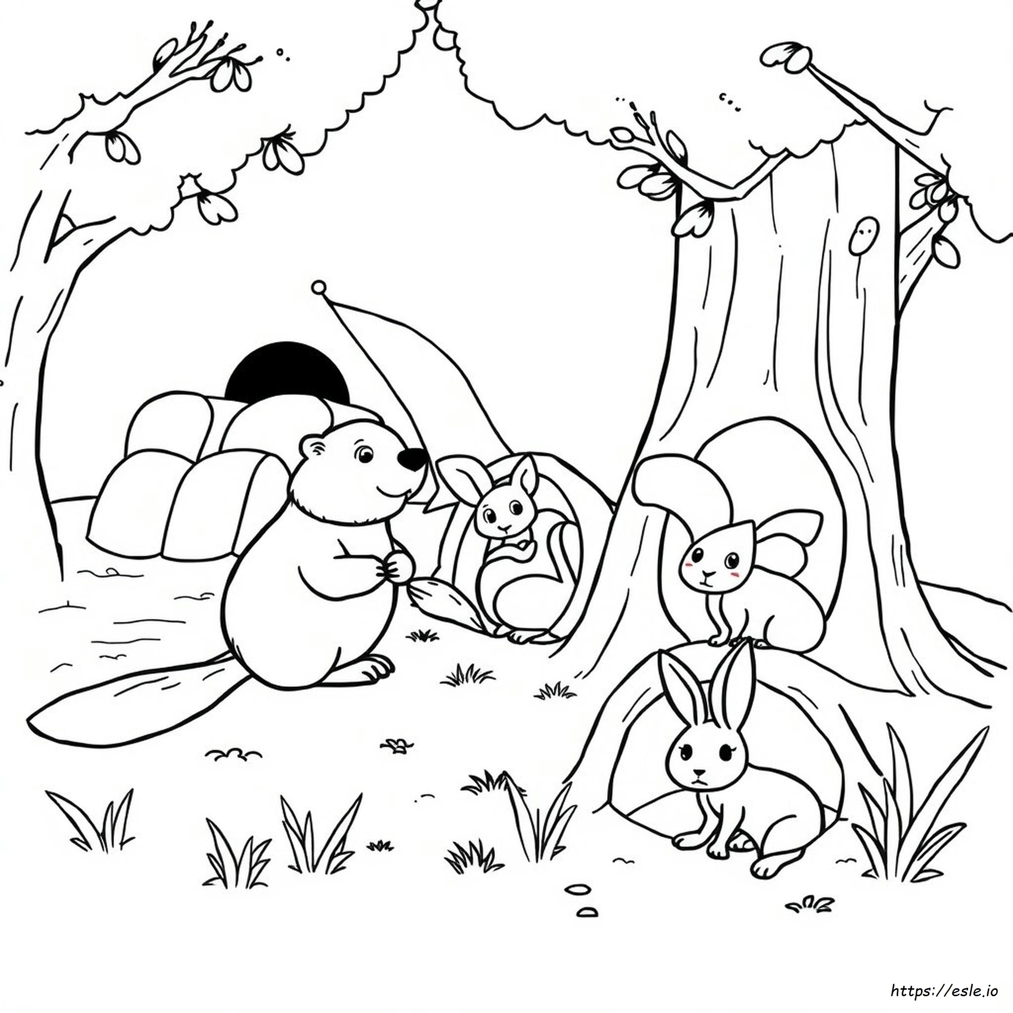 Animal Homes Coloring Pages