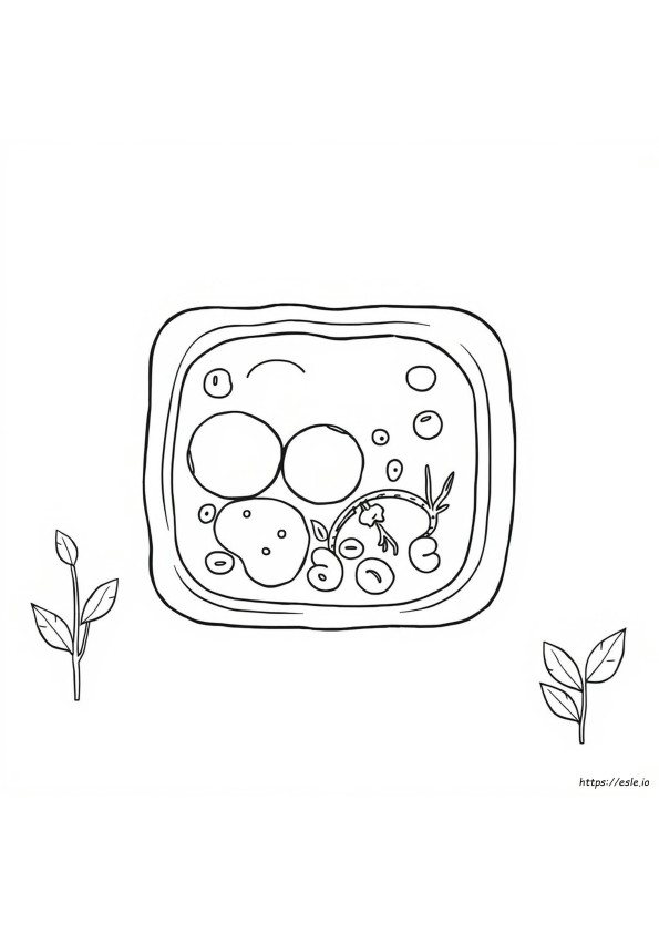 Plant Cell Coloring Sheet Answer Key