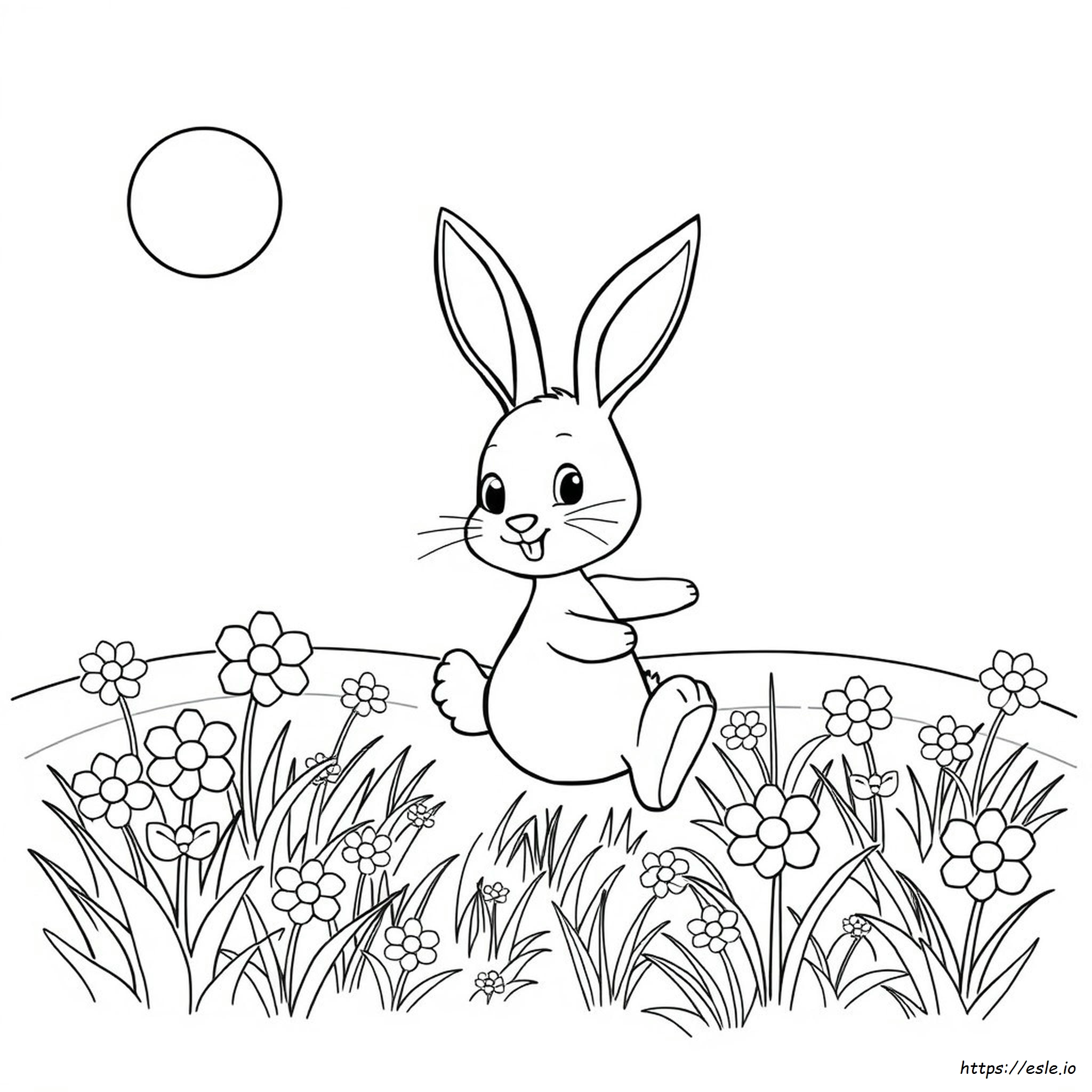 Bunny Pictures Coloring Pages
