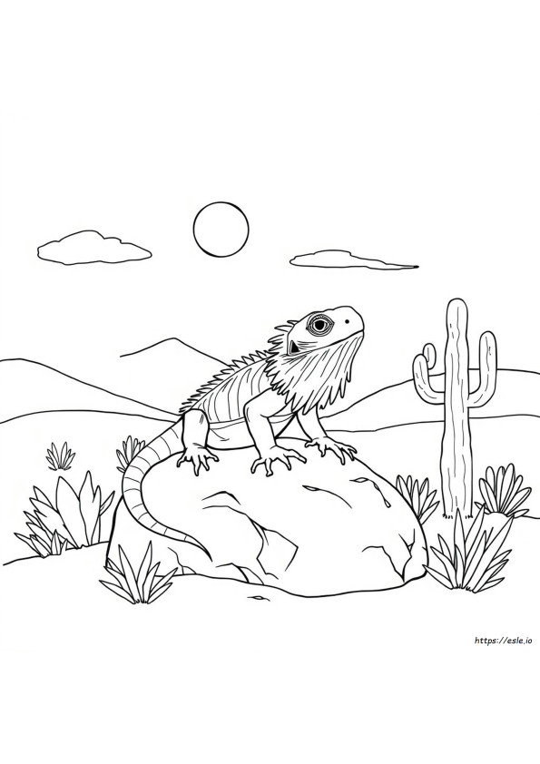 Bearded Dragon Colouring