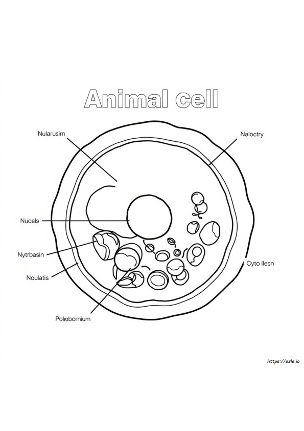 Animal Cell Coloring Page With Labels