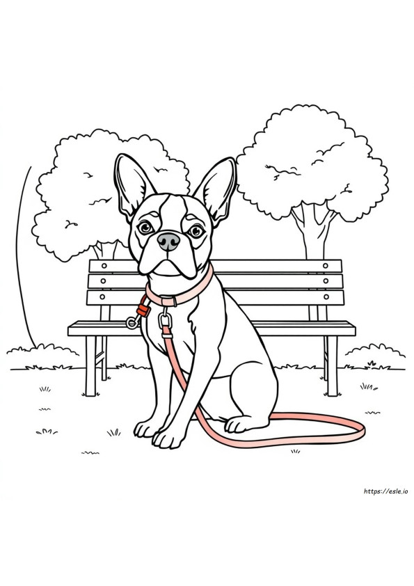 Boston Terrier Coloring Pages