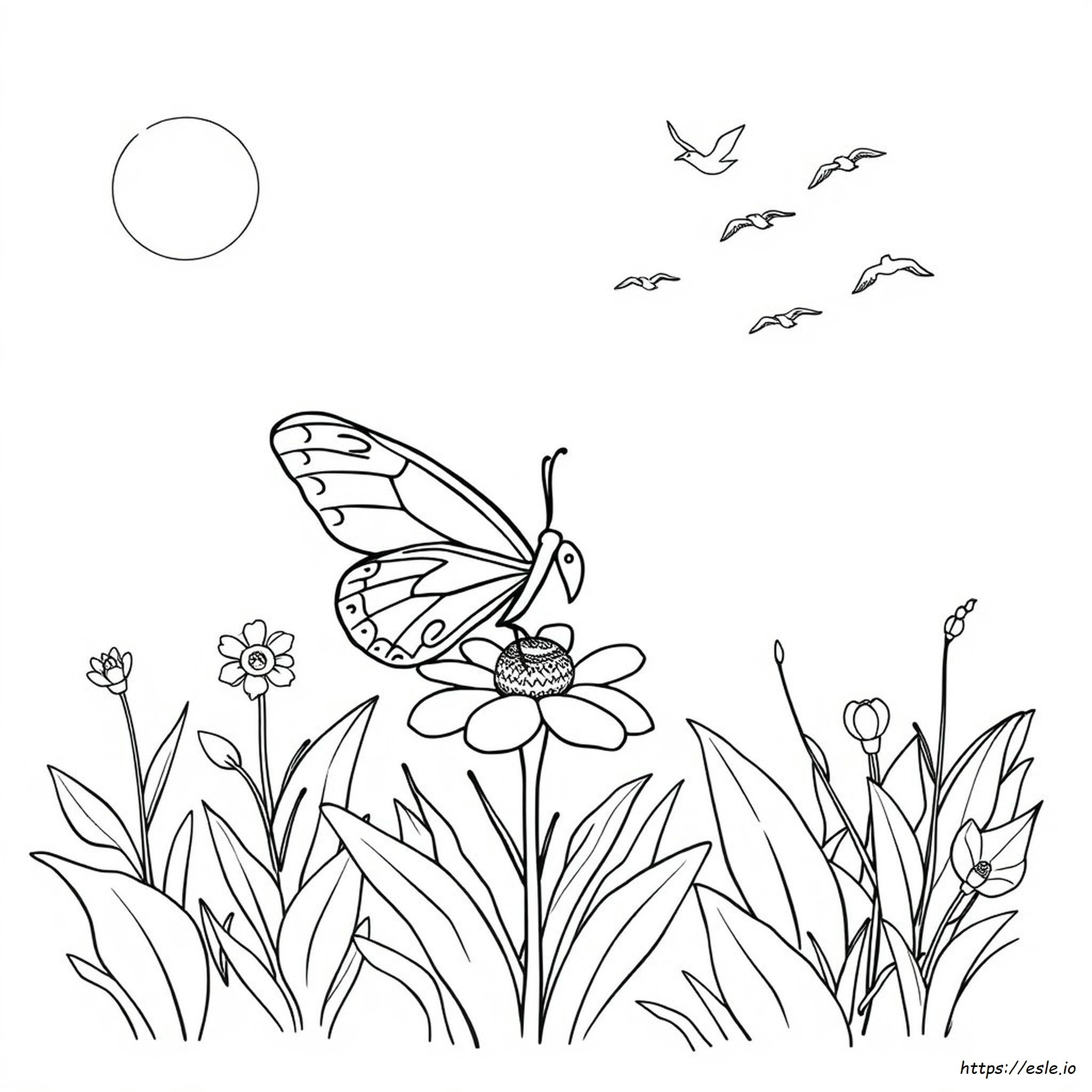 Preschool Printable Butterfly Coloring Pages