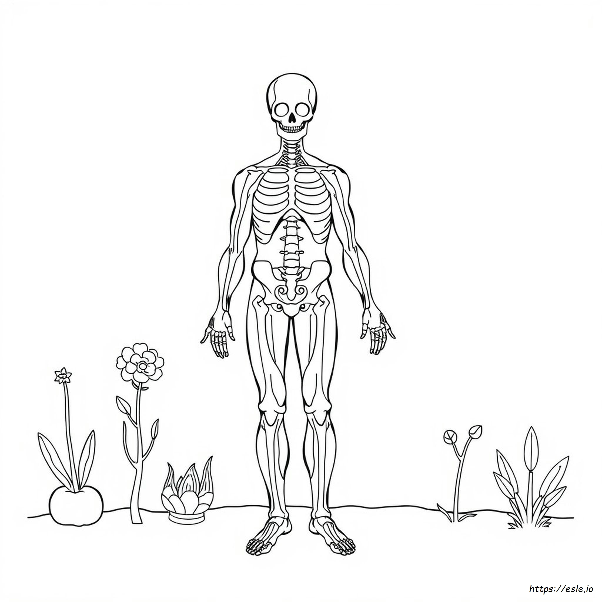 Respuestas Del Cuaderno Para Colorear De Anatomía Y Fisiología Página 188