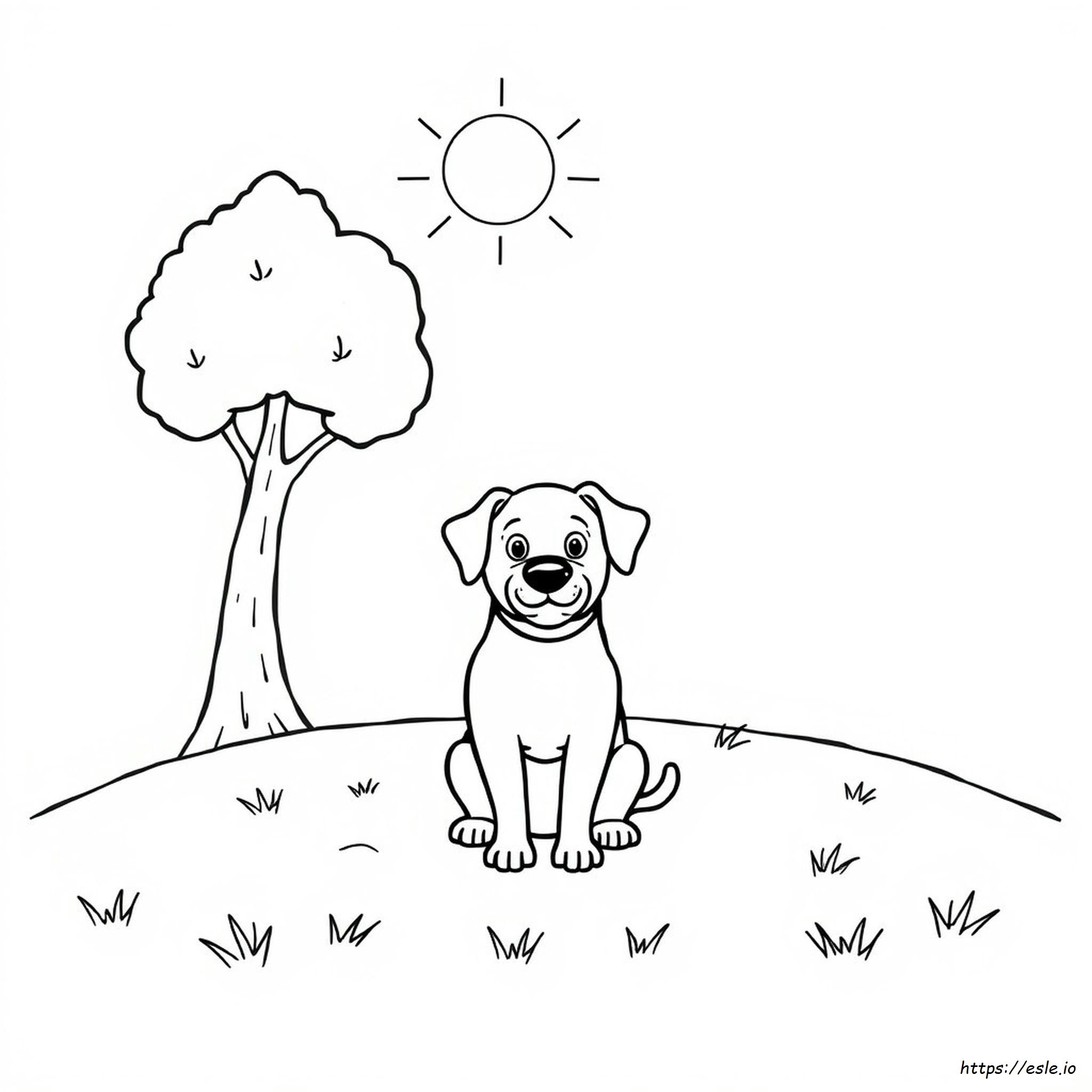 Hund Ausmalbilder Zum Ausdrucken Pdf