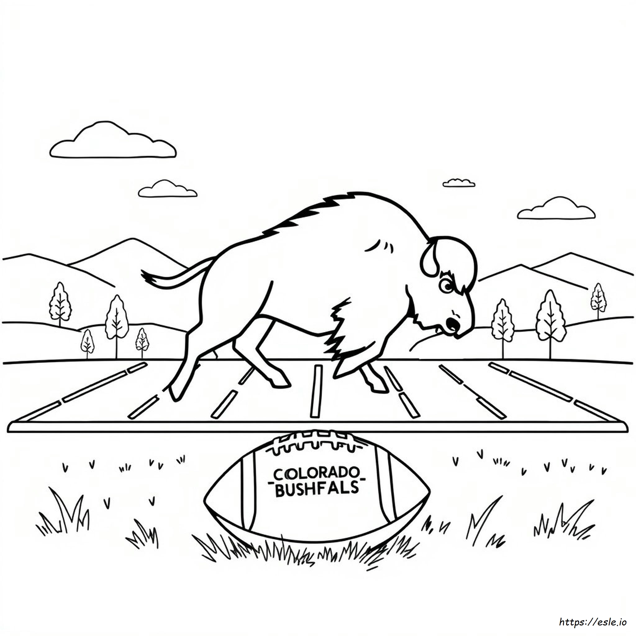 Colorado Buffaloes Coloring Page