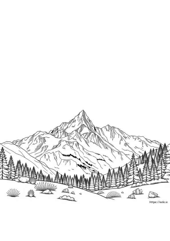 Crystina Page Colorado