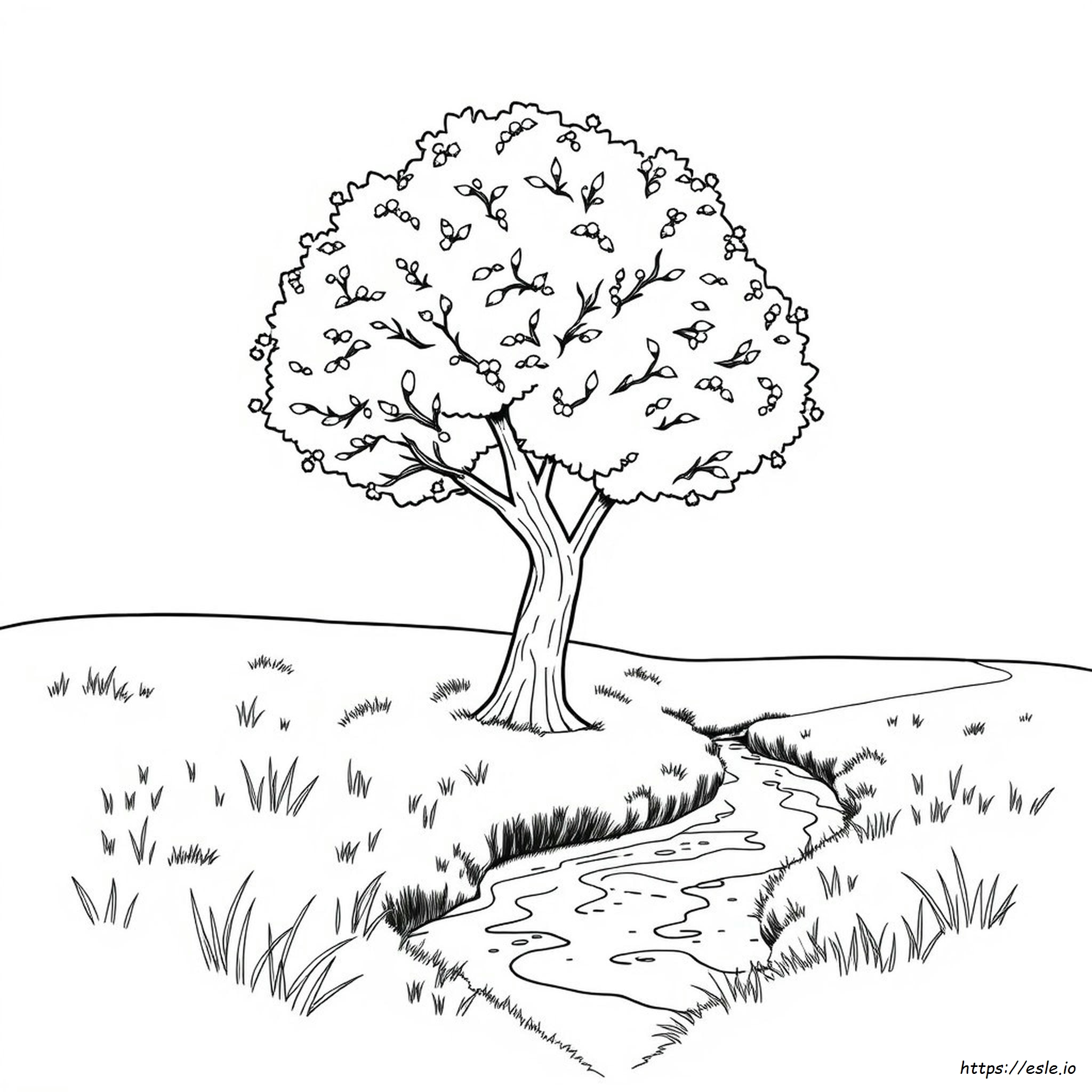 Arboliva Coloring Page
